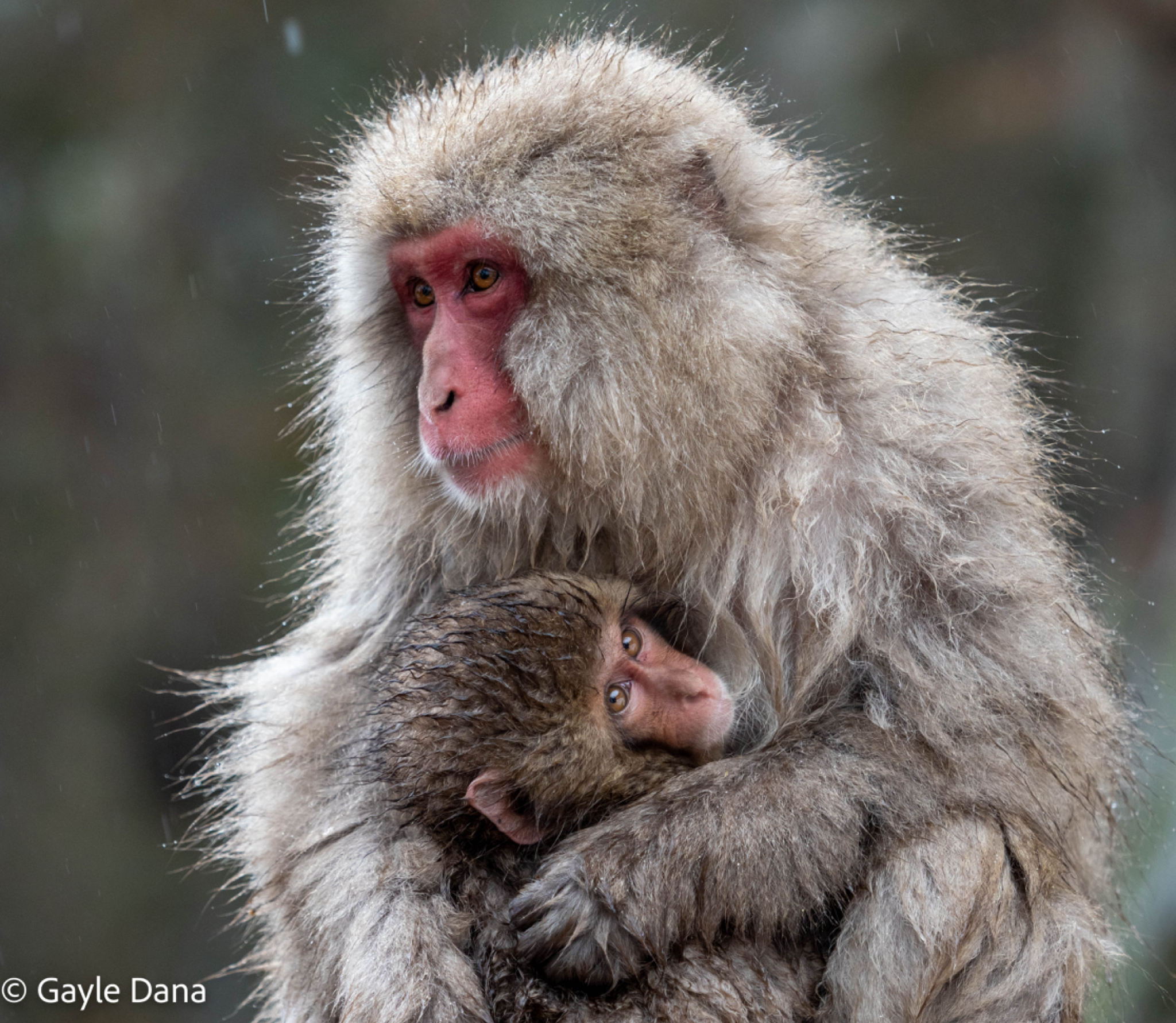 Mom and baby
